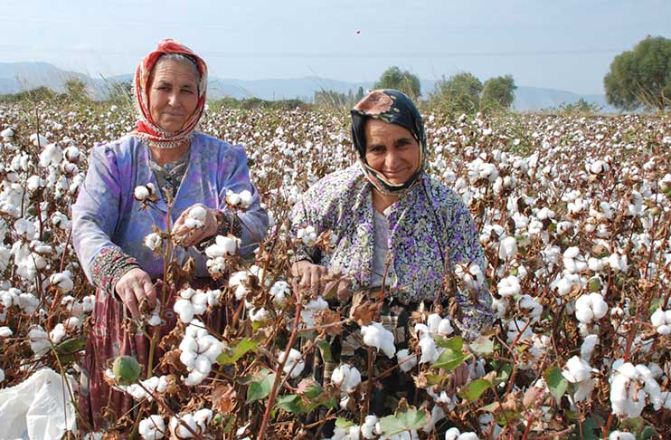 Charles Parsons Textiles