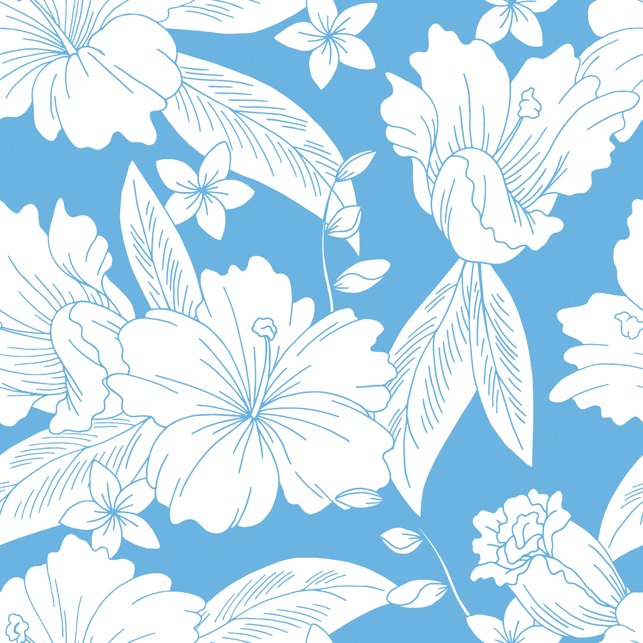 ECO CLOUD PRINTS