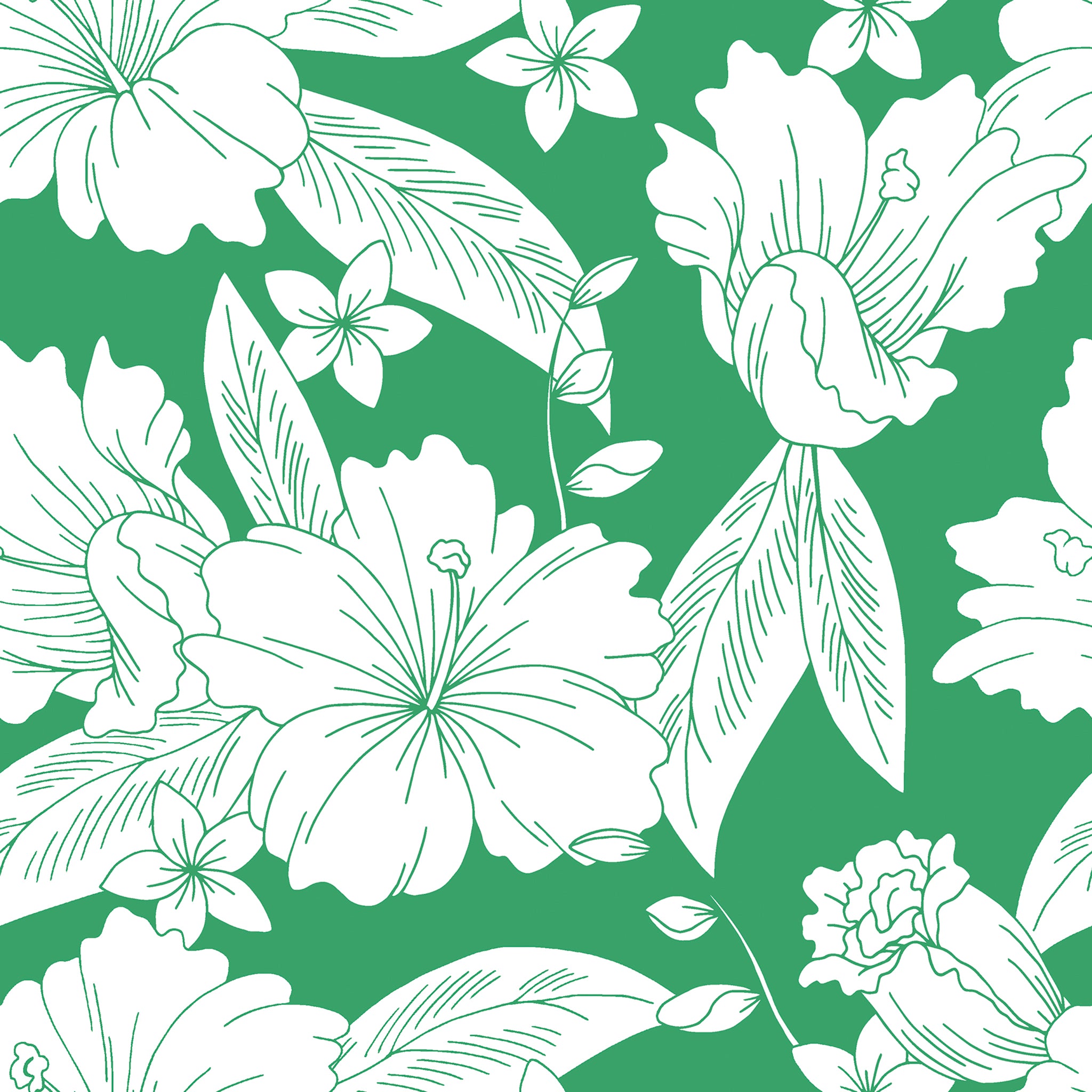 ECO CLOUD PRINTS